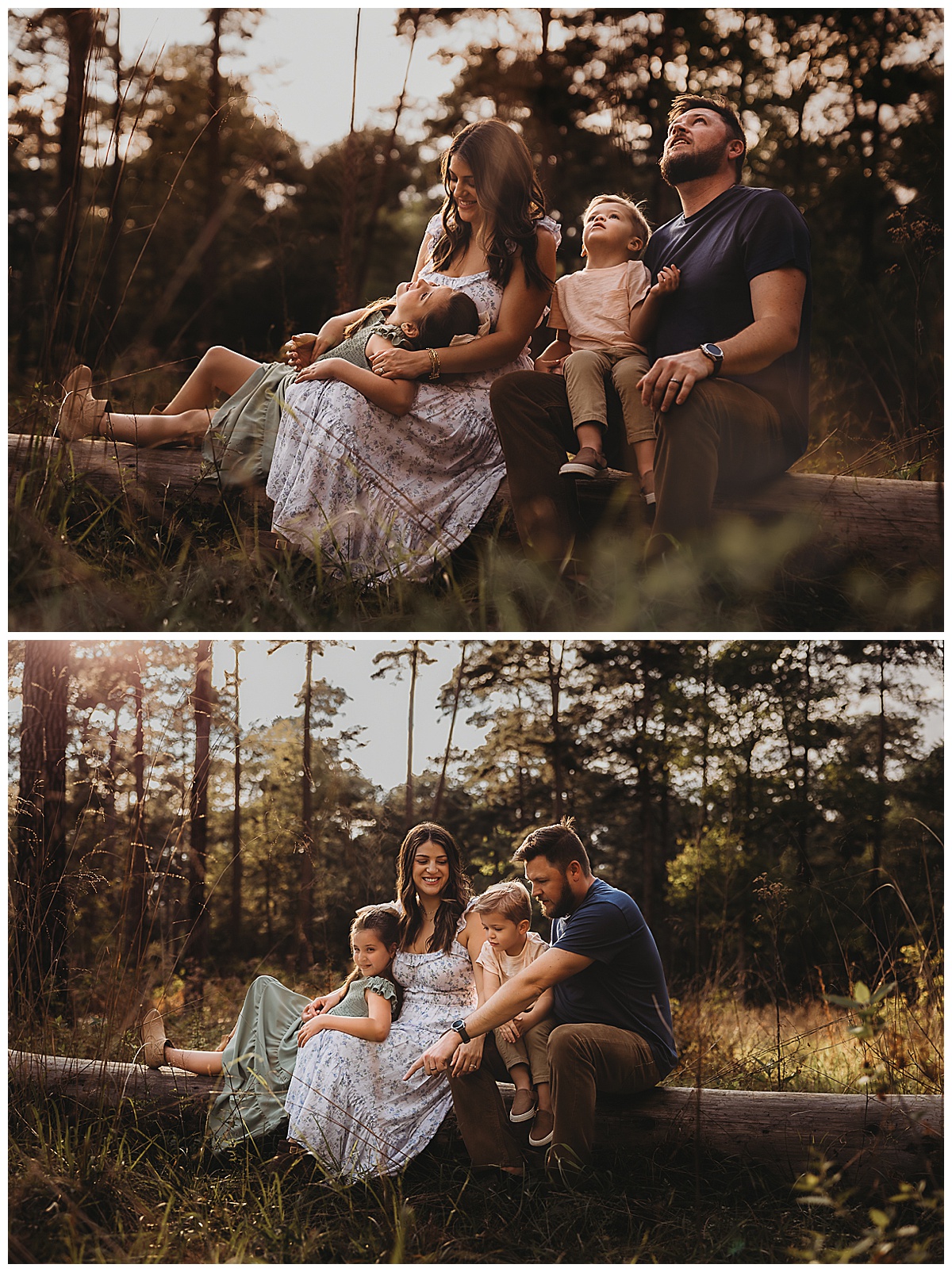 Family sit together on a tree stump by The Woodlands Family Photographer