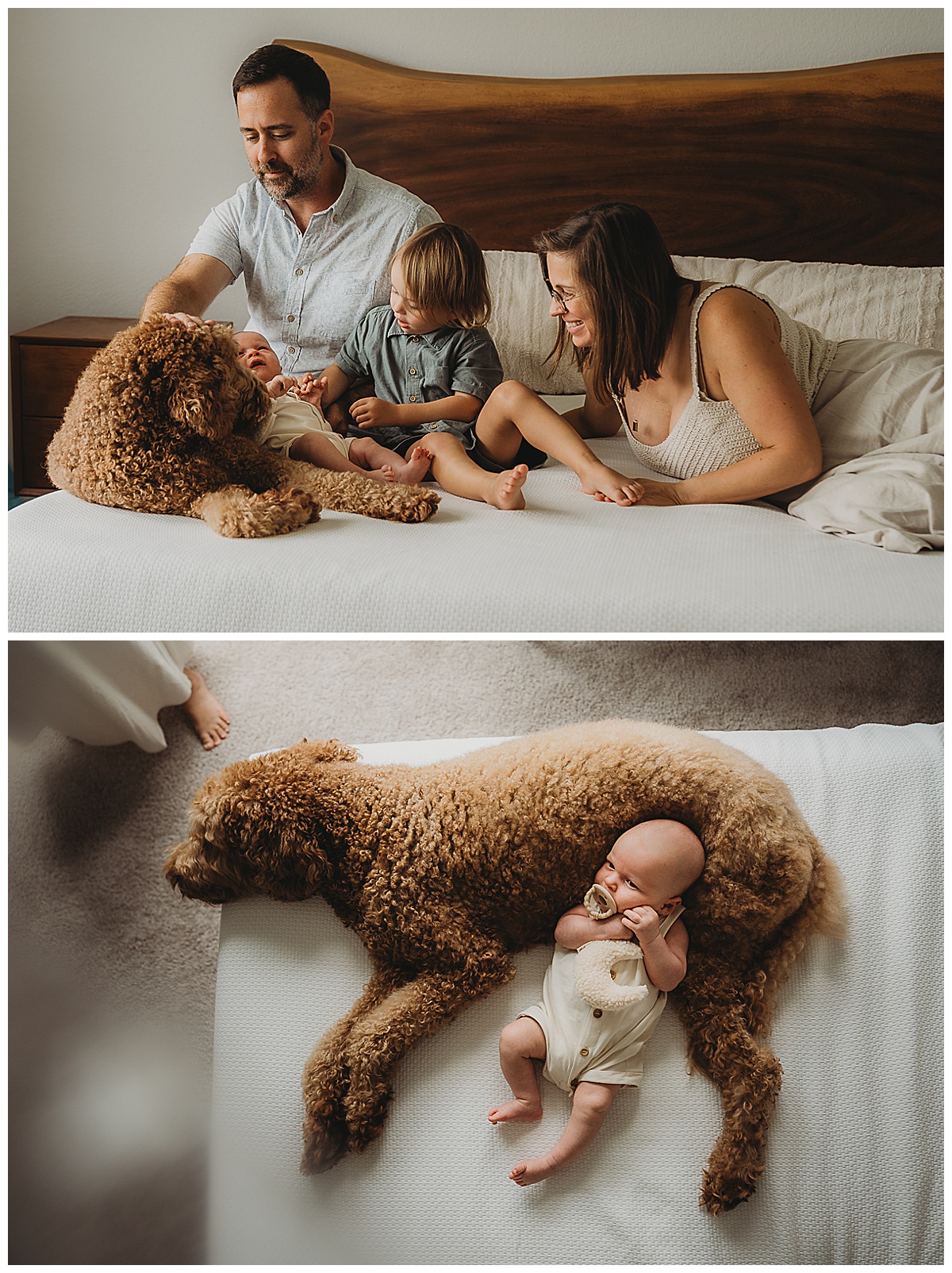 Family dog cuddles with family by Maria Grace Photos